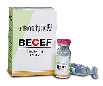 Becef inj