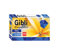 Gibli-50