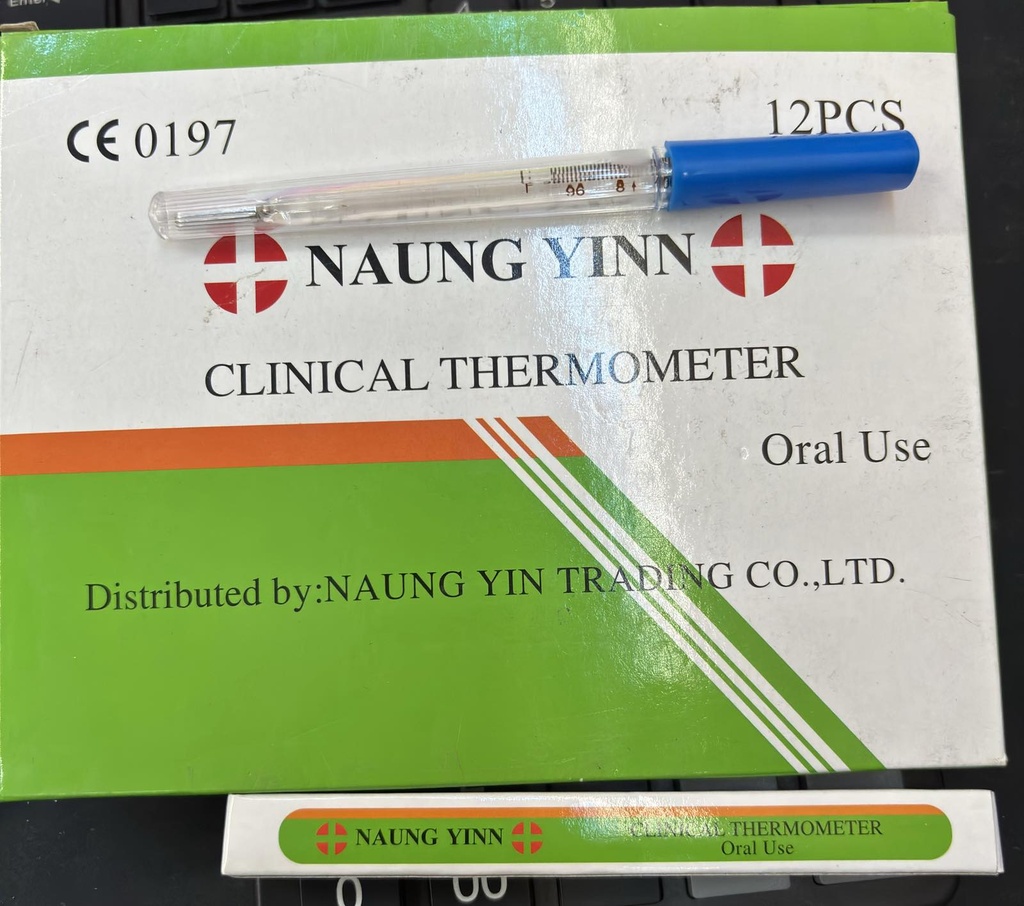 NY Thermometer Small