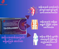T2 Collagen
