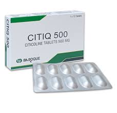 CITIQ-500