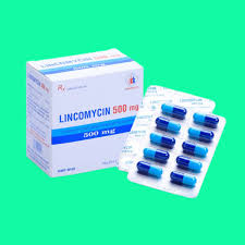 Lincomycin500mg 20st