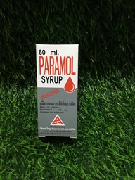 Paramol syr GDH