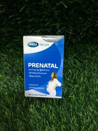 Prenatal 30 (Box)(wecare)