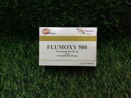 Flumoxy 500mg
